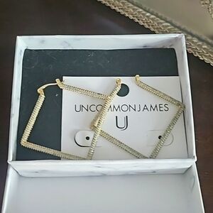 Uncommon james earrings
